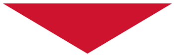 Red Triangle decorative icon